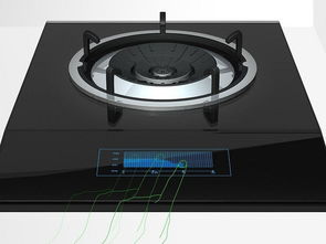 告別燃?xì)庠钸x擇與維修困惑 根據(jù)進(jìn)風(fēng)方式選購(gòu)指南
